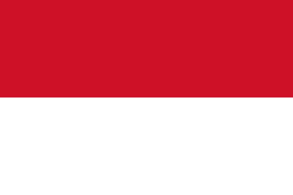 Indonesia Visa Application Support